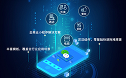 小程序開發(fā)多少錢一個(gè)，定制與模板的差價(jià)是多少