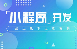原生小程序開發(fā)公司，優(yōu)點(diǎn)有哪些呢